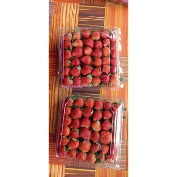 

strawberry fresh 1kg jumbo