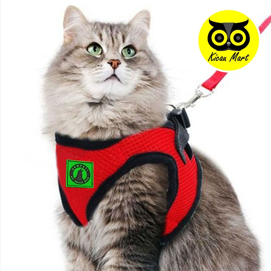 CAT HARNESS KUCING CAT HARNESS HARNES CAT LEASH ROMPI KUCING HARNESS + TALI TUNTUN ROMPI BAJU KUCING ANJING MURAH CAT DOG LEASH SIZE L LARGE SEMPATI LRMP