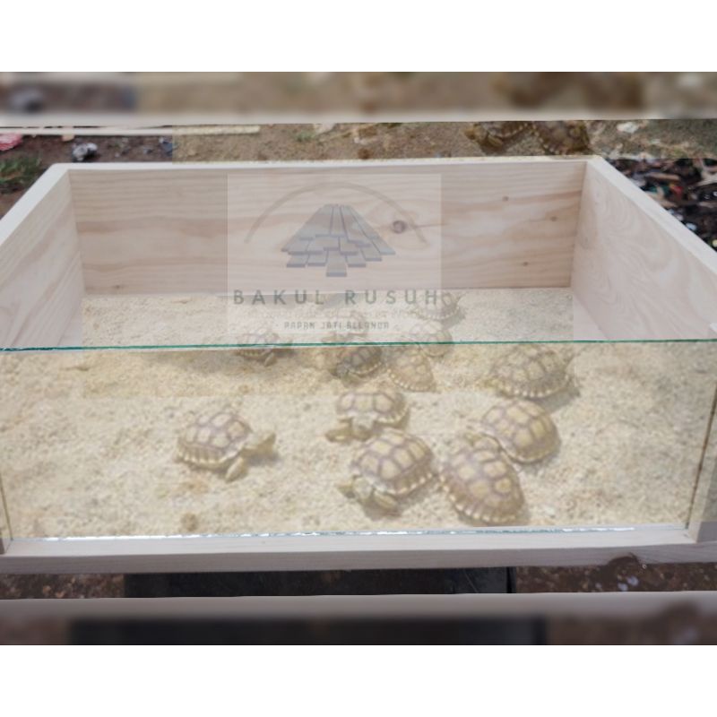 KANDANG KURA KURA BOX KURA KURA DARAT SULCATA TORTOIS