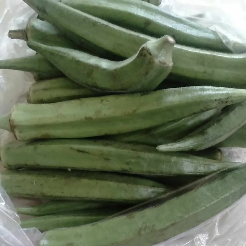 

Sayur OKRA BENDI Ladyfinger Hijau