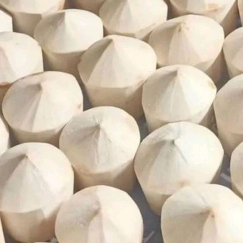 

Kelapa Muda Segar INSTAN