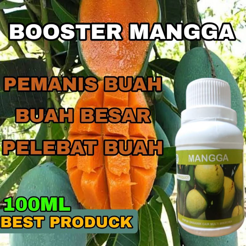 Jual Pupuk Cair Organik Mangga Super Lebat Booster Mangga Biar Cepat Berbuah Lebat Pemanis Buah