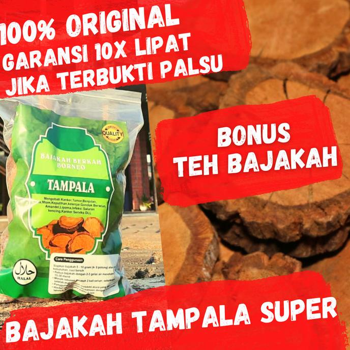 Akar Bajakah Tampala Super Asli Kalimantan 1 Kg Bonus Teh Bajakah Koh541