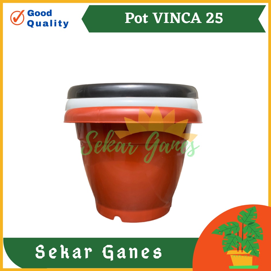 Pot Gentong Bunga Vinca 25 Polos Coklat Hitam Putih Tanaman Hias Kuping Glory 25 Plastik  Pot 25 cm Lusinan Hitam Pot Bunga Hitam 20 22 25 30 32 35 | Pot Tanaman Hitam Plastik