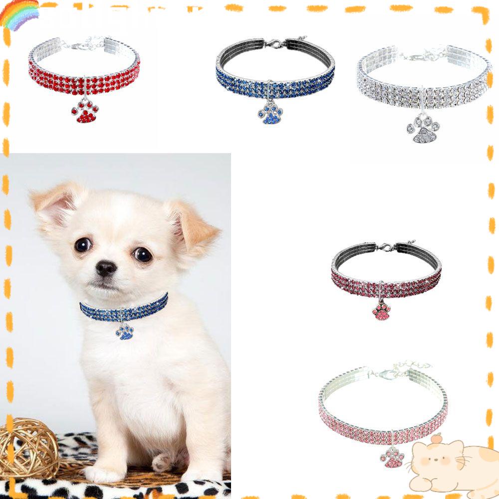 Solighter Collar Fashion Multicolor Variasi Kucing Dan Anjing