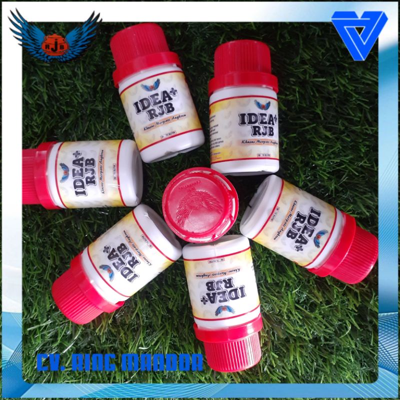 IDEA+ RJB isi 75 butir