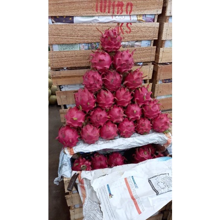 

buah segar press