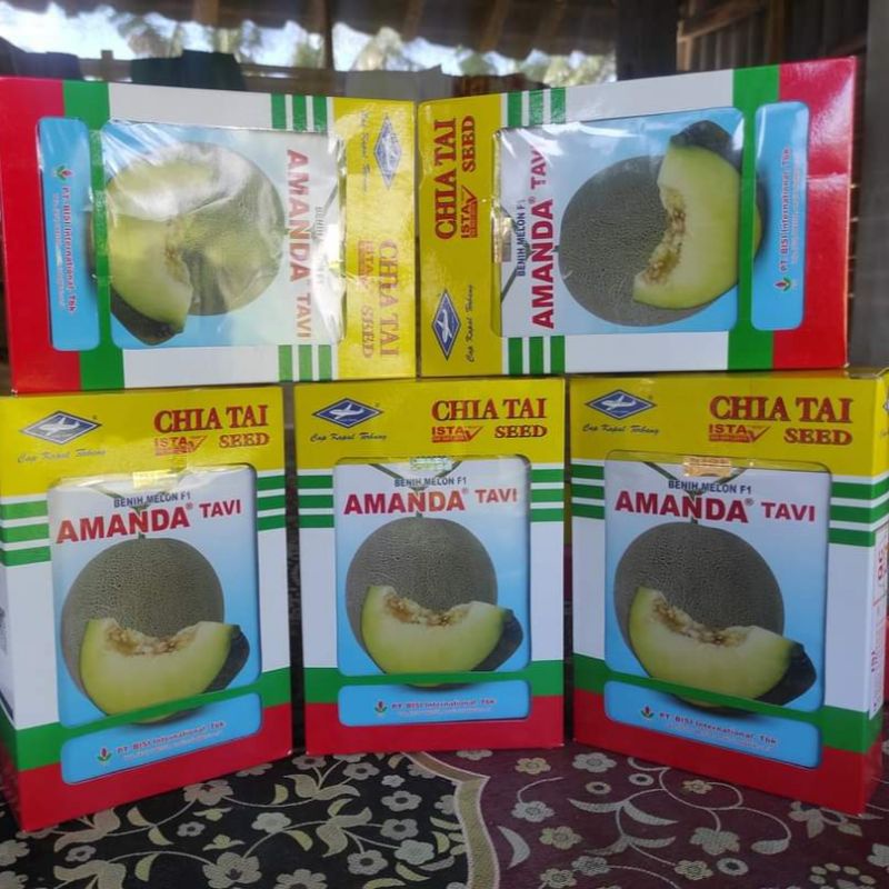 Benih Bibit Melon Amanda TAVI F1 Bisi