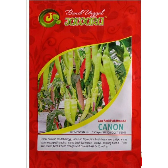 Benih Bibit Cabe Rawit Putih Merunduk CANON || Bibit Cabe Rawit Putih / Benih Cabe Rawit Putih