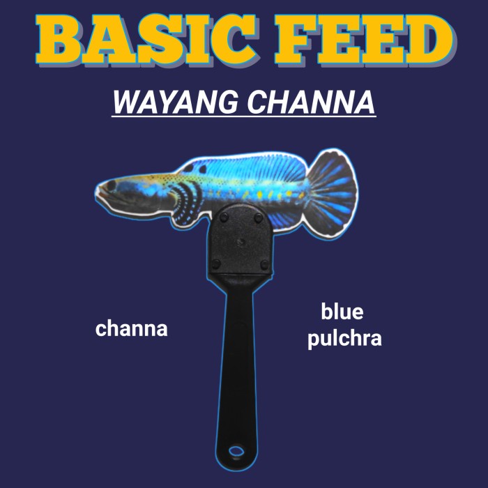 BISA COD Wayang ikan channa blue pulchra | wayang ikan channa auranti - Auranti Maculat