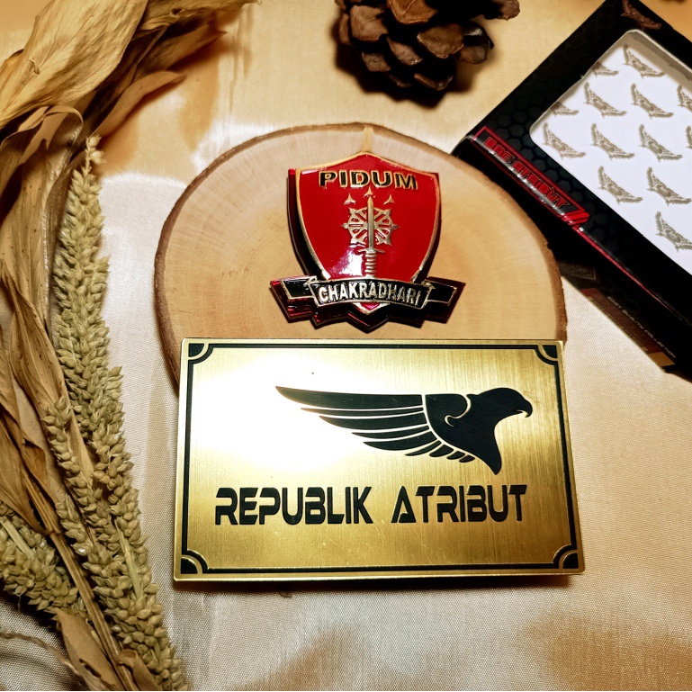 PIN PIDUM TERBARU KEJAKSAAN | PIDANA UMUM