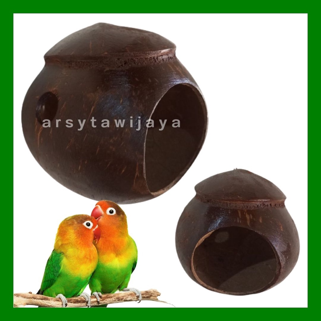 glodok burung - glodok batok kelapa - glodok lovebird - sarang burung lovebird