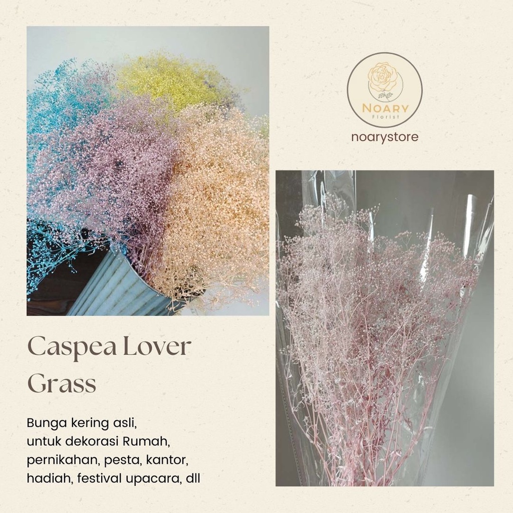 CASPEA LOVE FLOWER