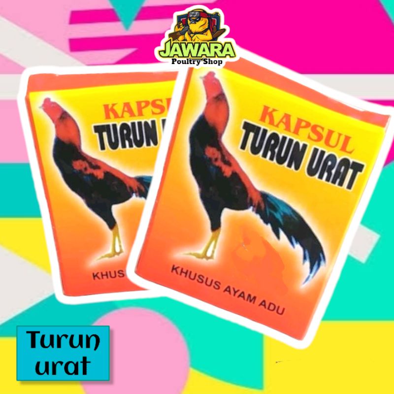KAPSUL TURUN URAT - Obat Turun Urat Tedun Ayam