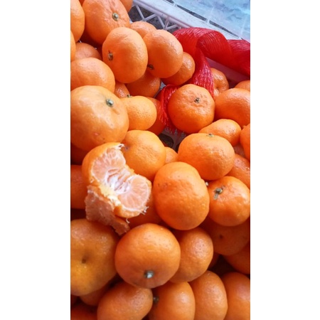 

JERUK SANTAN MANIS JERUK TANPA BIJI