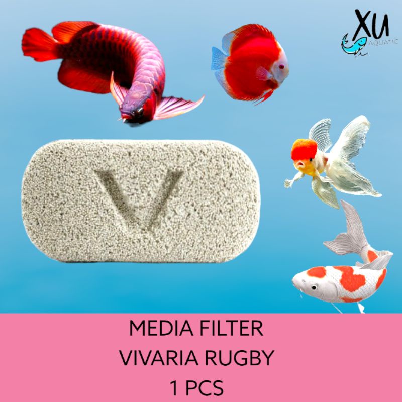 VIVARIA RUGBY STADIUM RUGBY ECERAN / PCS MEDIA FILTER BIOLOGIS RUMAH BAKTERI BIO AQUARIUM 1 PCS