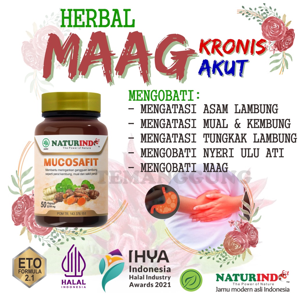 Obat Maag magh Kronis Ampuh Asam Lambung gerd Herbal Nyeri ulu hati Akut Jepang cina 606 anak anak d