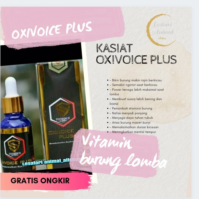 Ovik Oxivoice Plus Oxivoice Cair Dengan Gingseng