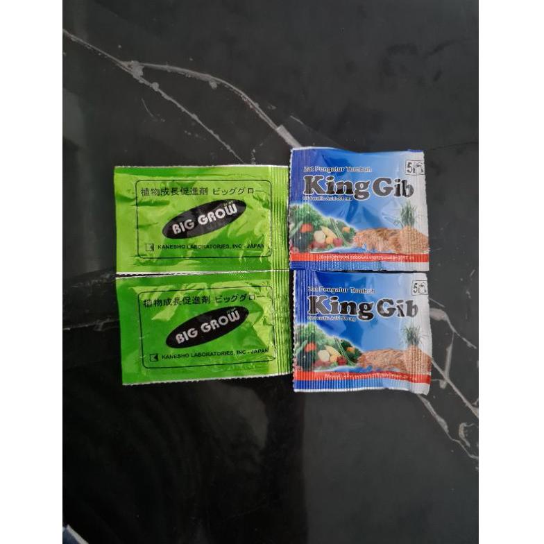 [COD UB37] Paket BIG GROW BIGGROW dan KINGGIB KING GIB PEMBESAR BUAH NAGA 80