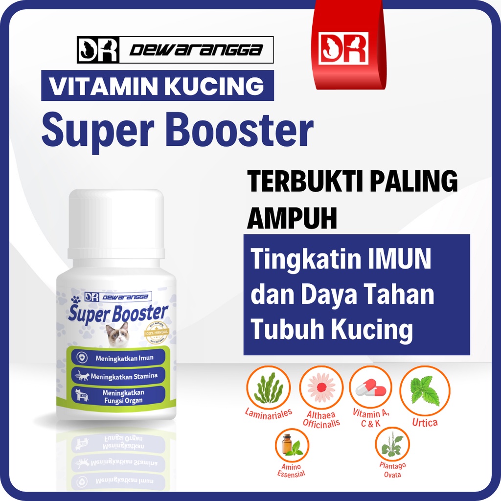 Govis Vitamin Kucing Super Booster Dewarangga - Vitamin Daya Tahan Tubuh Kucing - Vitamin Imun Kucing