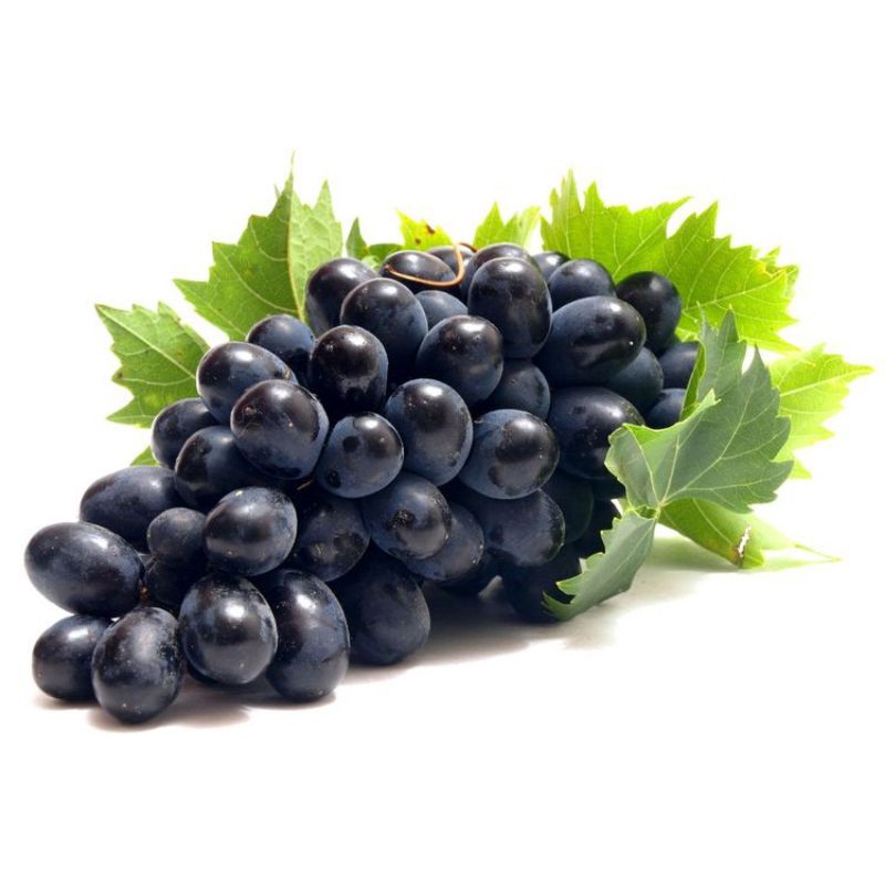 

anggur hitam