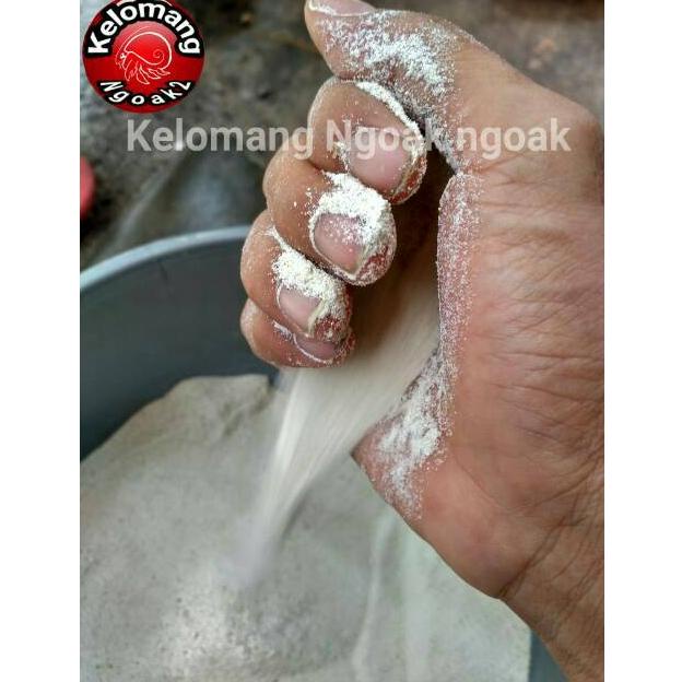 Pasir Laut Putih Halus FTYCK7091
