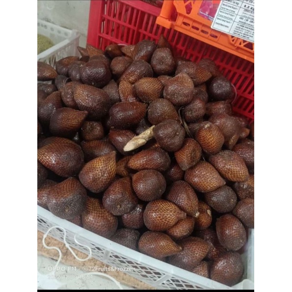 

salak pondoh