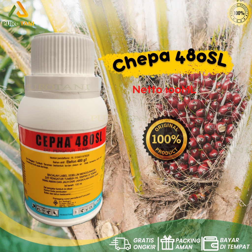 Zat Pengatur Tumbuh Tanaman Cepha 480 SL 100 ml etefon 480 gl