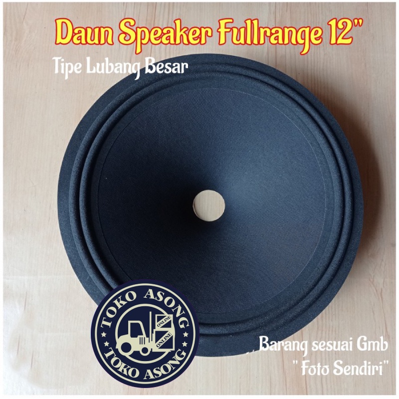 Daun speaker 12 inc fullrange hq smooth spiker