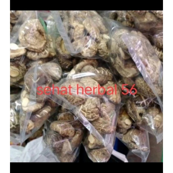 

Jamur Hioko 1kg / jamur shitake