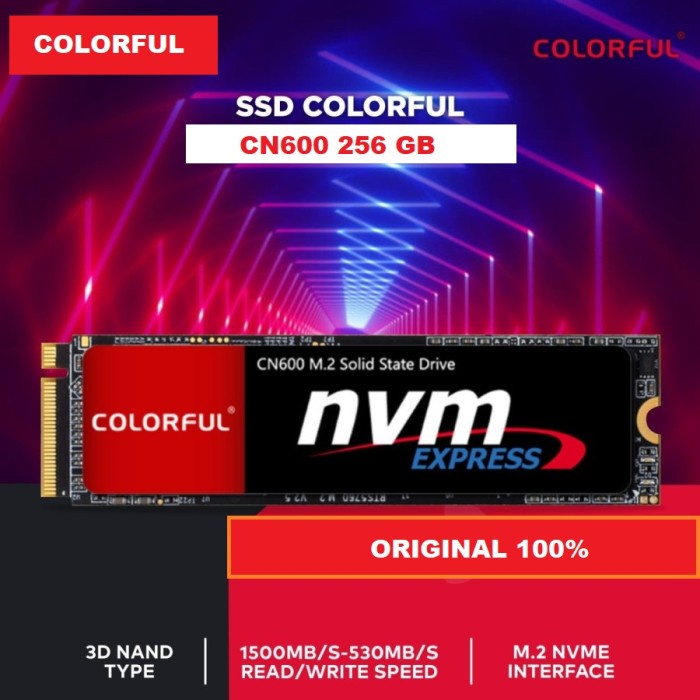 Colorfull CN600 SSD M.2 2280 Pcie Nvme 256GB - 3D Nand M2 256GB