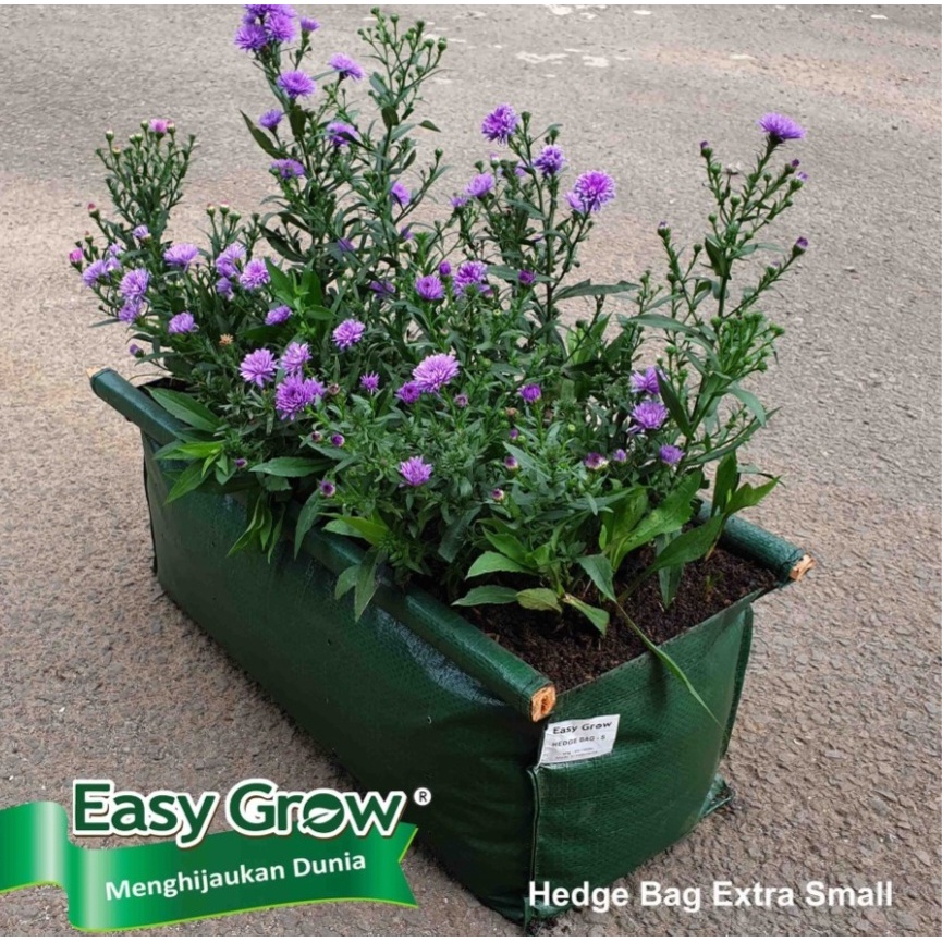 HEDGE BAG XTRA SMALL planterbag hedge planter pot persegi panjang polybag bibit tanaman