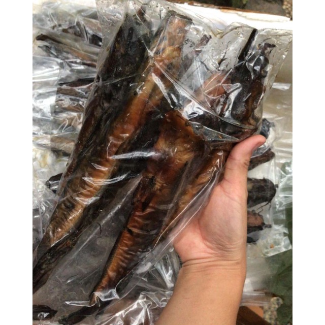 

Lele Asap 500 gram dan 1 Kg