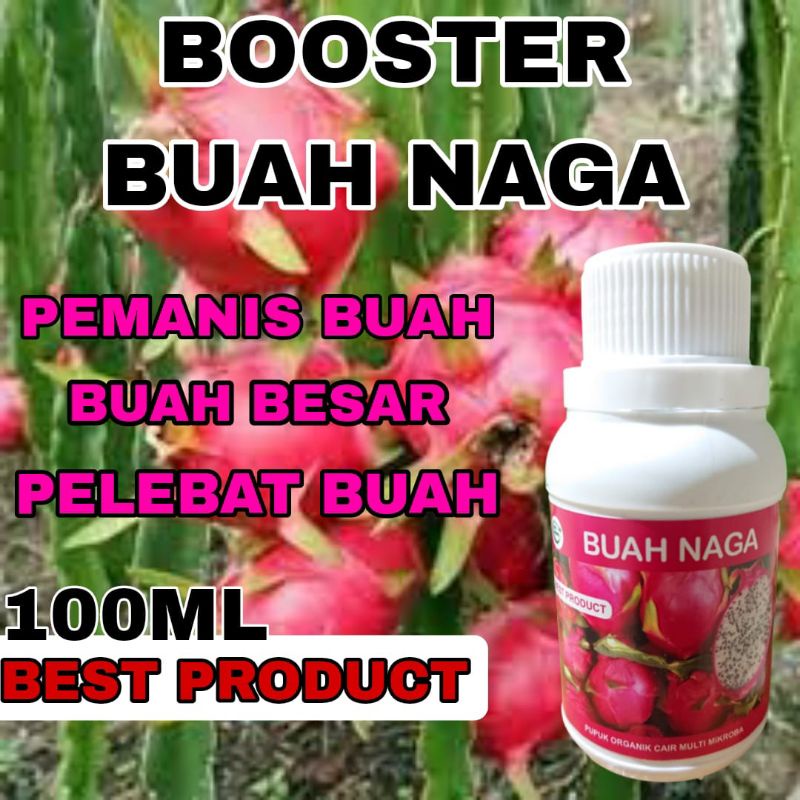 Pupuk cair organik buah Naga super lebat booster buah naga biar cepat berbuah lebat pemanis buah cep