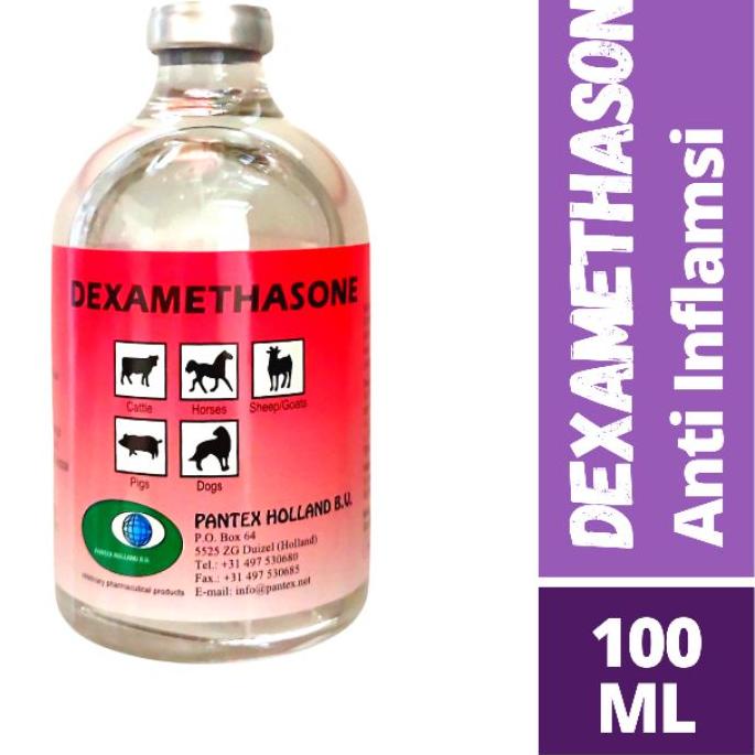 Segera Dapatkan Dexametason injeksi 100ml - Obat Anti Inflamasi - dexa 100ml DS2D++