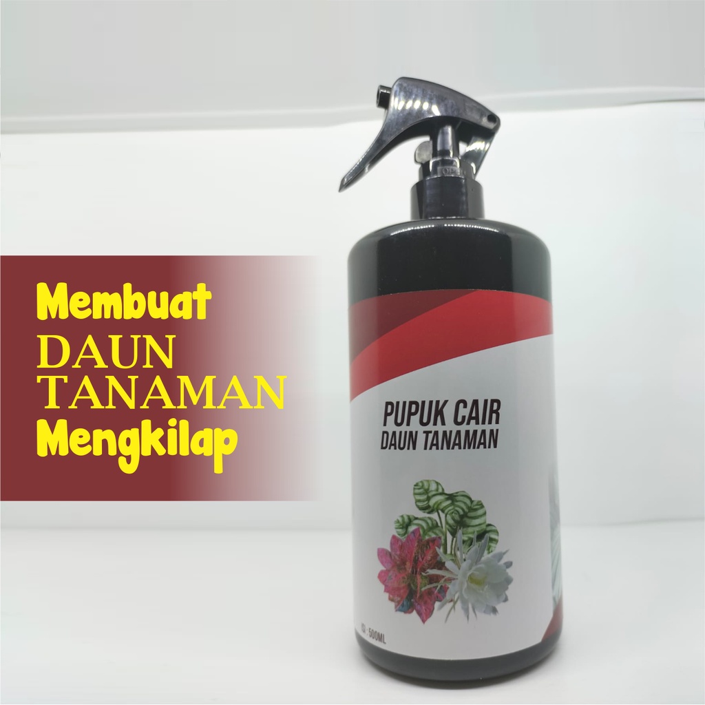 Pupuk Tanaman Hias AGLONEMA | MONSTERA | Pupuk Tanaman Hias Komposisi Terlengkap 500ML