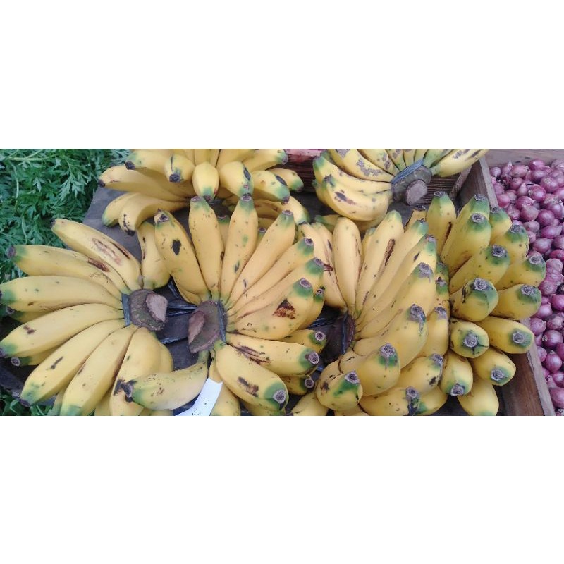 

Buah pisang Rajamala