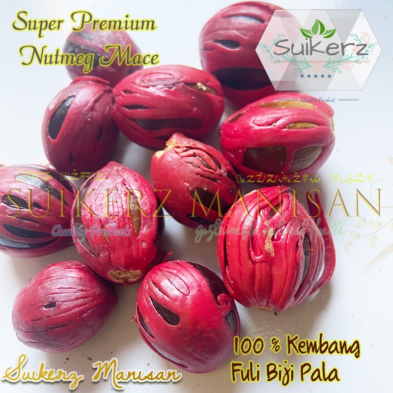 

biji pala tua super Premium kering 100% asli Murni rempah obat herbal bumbu dapur masak tradisional original kualitas super