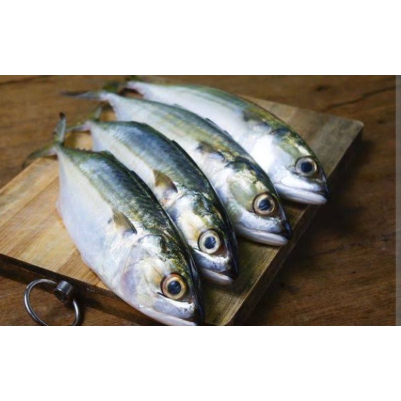 

cibiru - ikan kembung fress