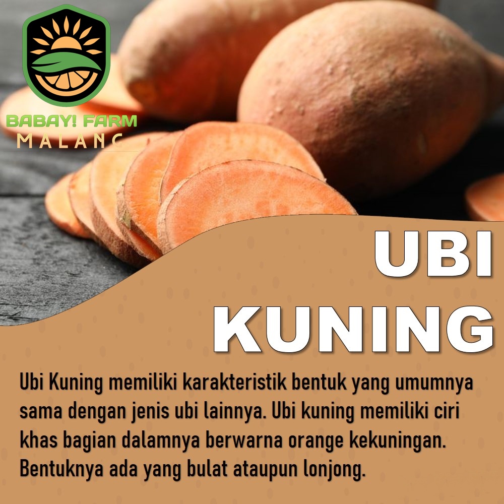 

ubi kuning ketela 250 500 gr / 1 kg