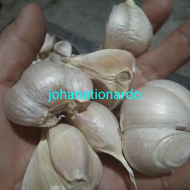 

Terlaku.! Bawang putih kating bersih 1 kg 0QP