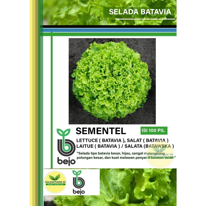 Benih Benih Selada Batavia Bejo Sementel Kemasan 100 Pil