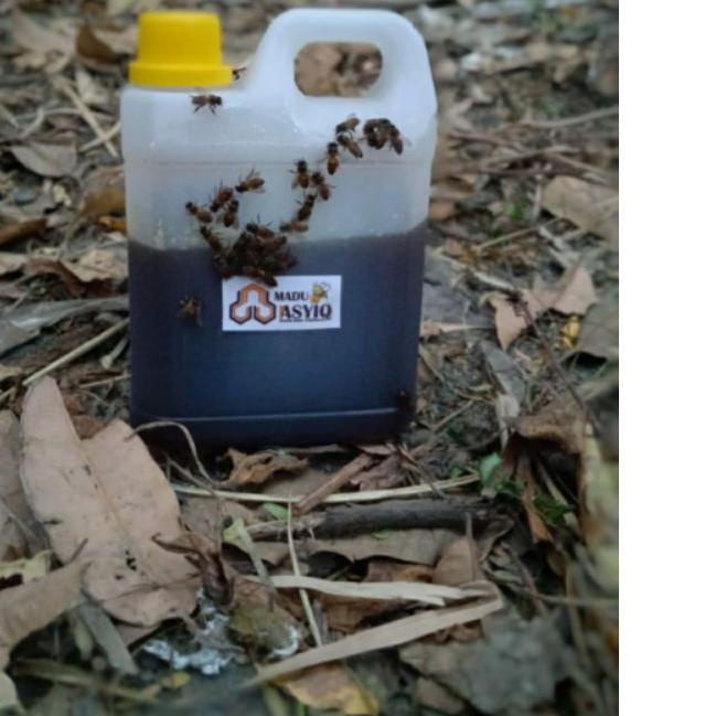 

New | KG7|MADU ASLI MURNI LIAR HUTAN APIS DORSATA UJI LAB.