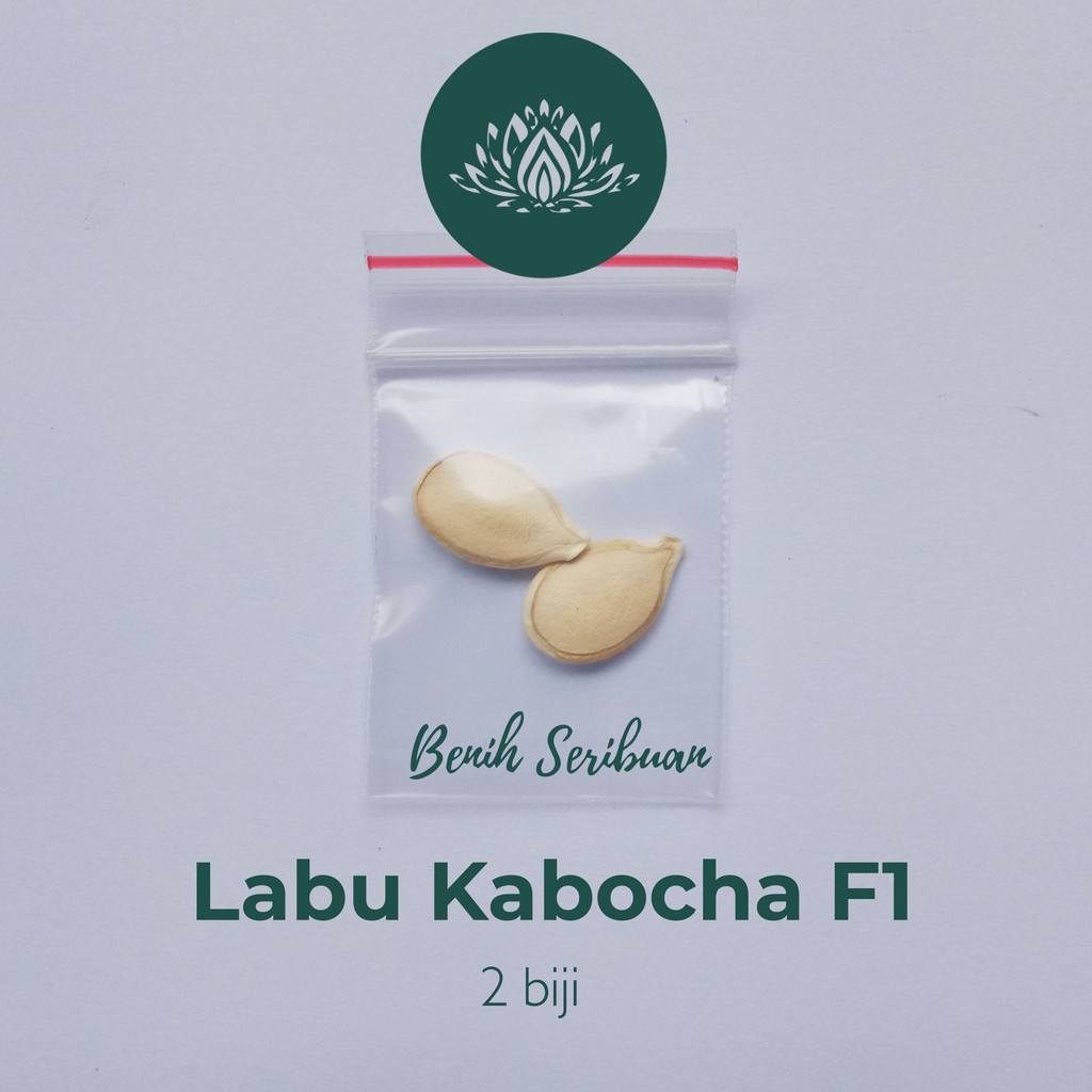 2 Benih Labu Kabocha Merah F1 Hibrida Kagum Bibit Buah Red Lamp Squash Jepang Bintang Asia Unggul
