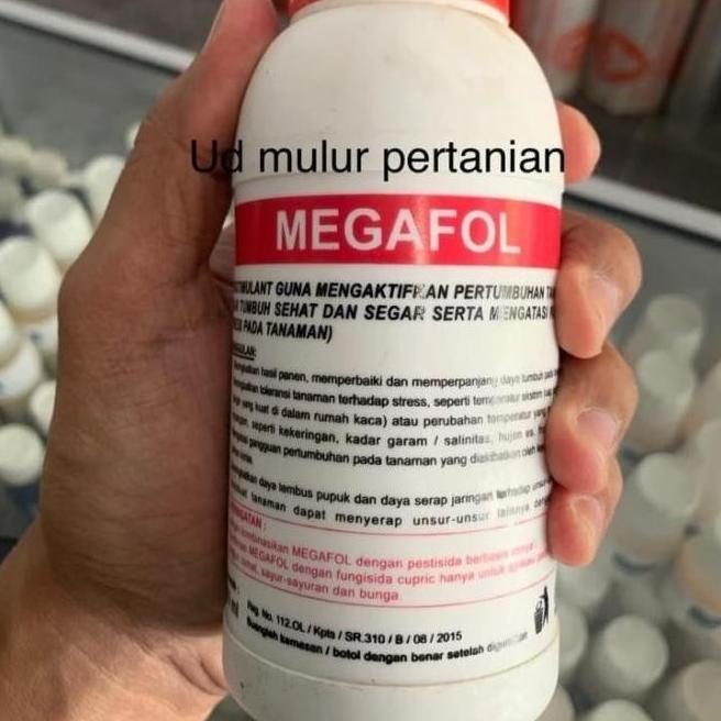 penahan virus peningkat sistem imun VALAGRO MEGAFOL 250 ml Qink