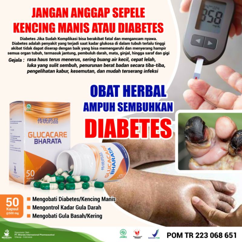 Obat Diabetes Melitus-Obat Diabetes Basah & Kering-Obat Luka Diabetes Paling Ampuh