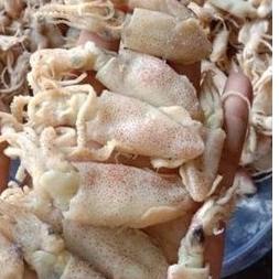 

HOT Cumi asin cumi kering 1kg kualitas super|baby cumi|ikan|ikan asin