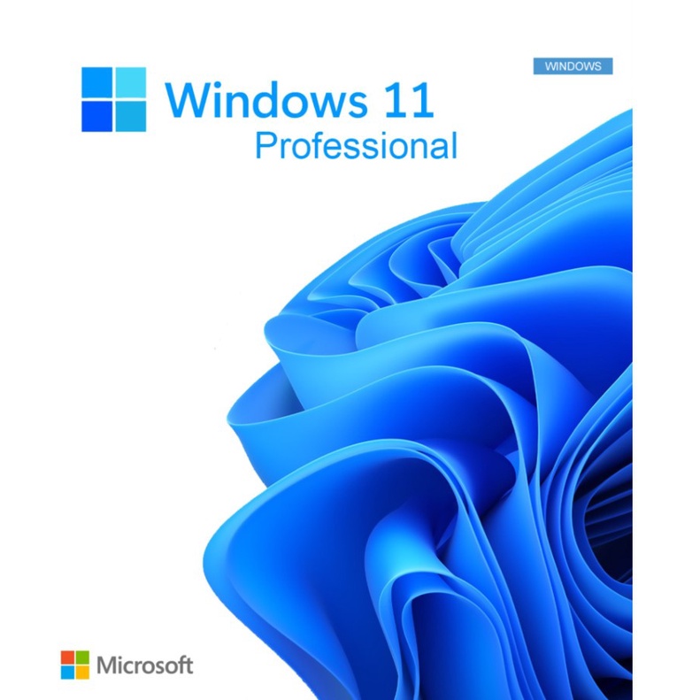 Windows 11 Pro 64 Bit Original Resmi