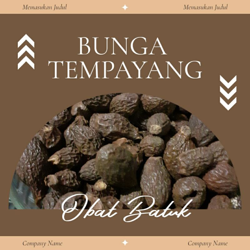 

Obat herbal Bunga Tempayang / Bunga Semangkuk