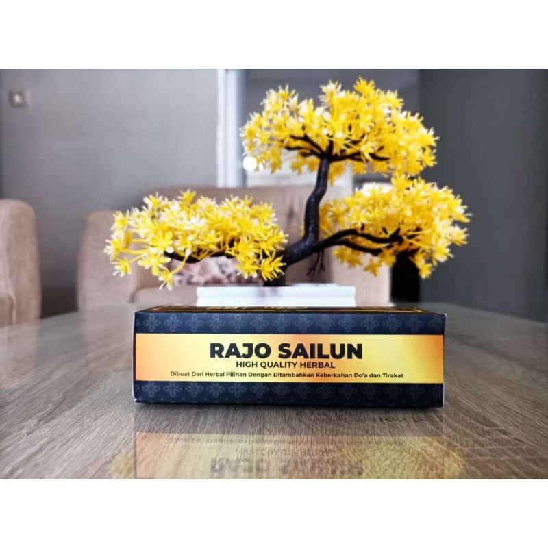 RAJO SAILUN
